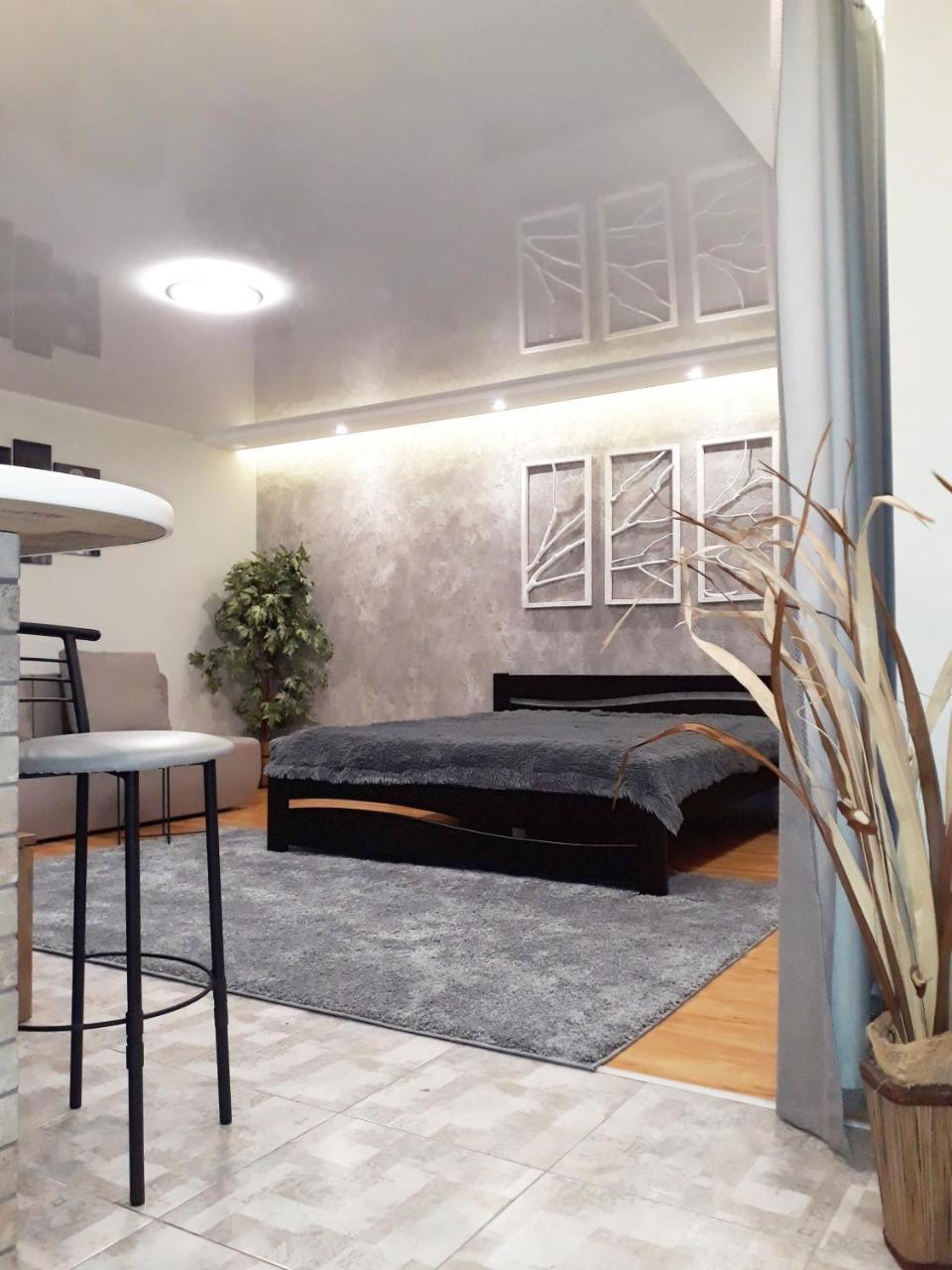 - Matusevycha Street 2-11 Apartment Kryvyi Rih